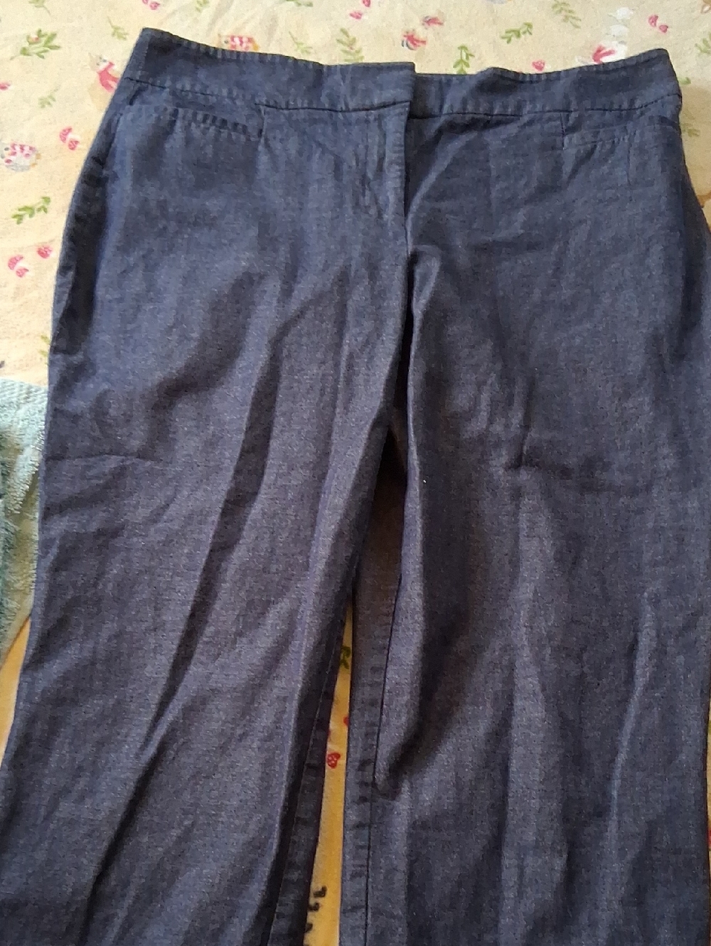 Ann Taylor Factory Dark Indigo Denim Capris